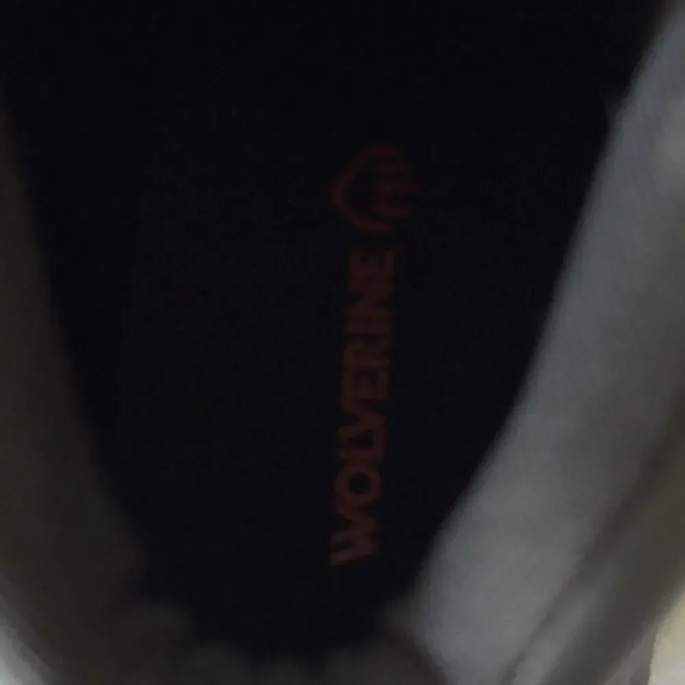 Wolverine Carlsbad 6